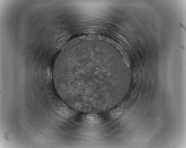 X0000096430420200802071730