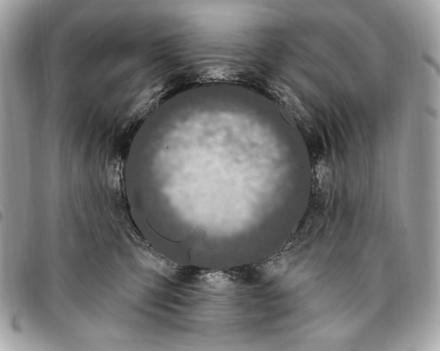 X0000096430423200802071730