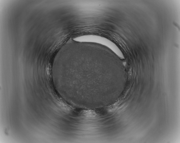 X0000096430424200802071730