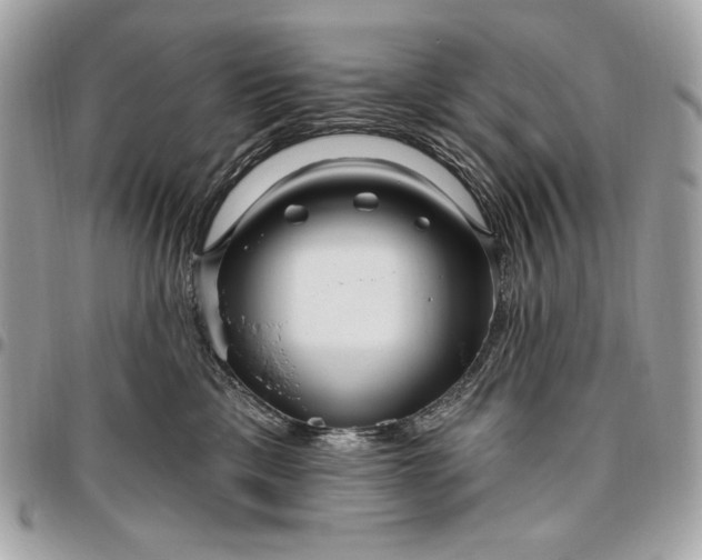 X0000096430425200802071730