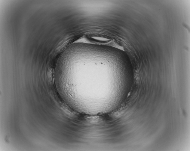 X0000096430428200802071730