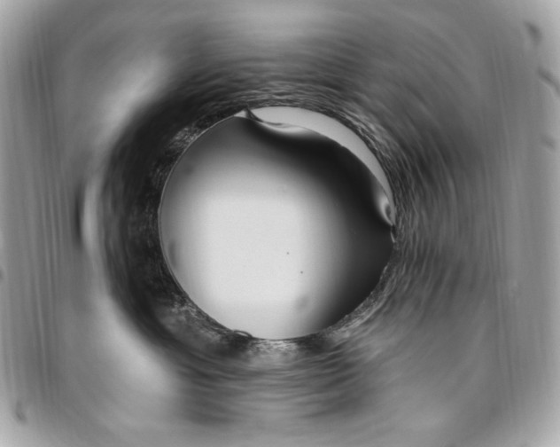 X0000096430429200802071730