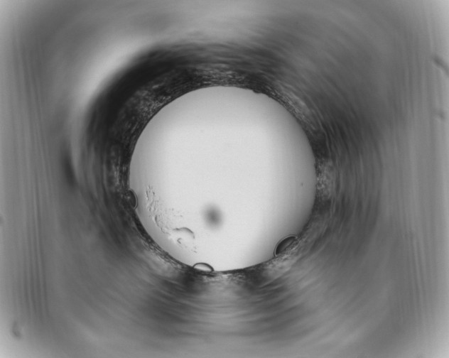 X0000096430430200802071730