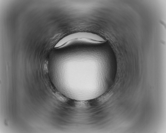 X0000096430432200802071730