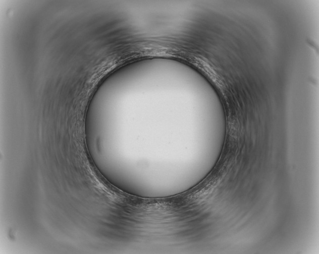 X0000096430433200802071729