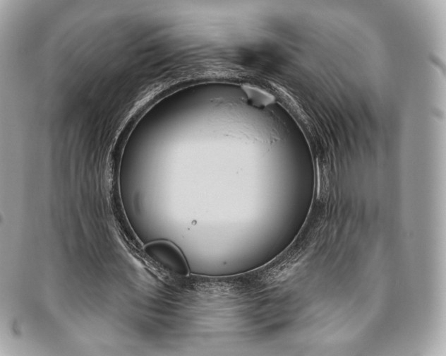 X0000096430435200802071729