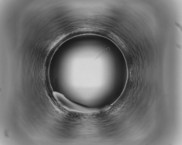 X0000096430436200802071729