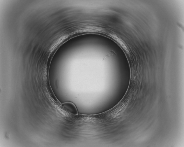 X0000096430437200802071729