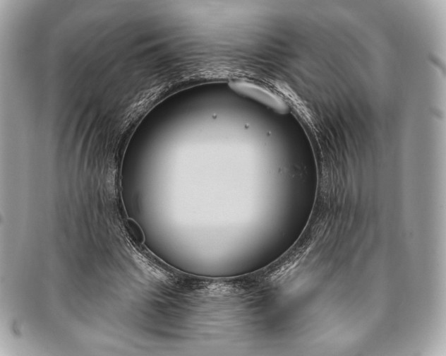 X0000096430441200802071729