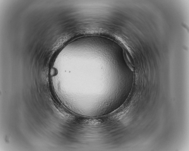 X0000096430443200802071729