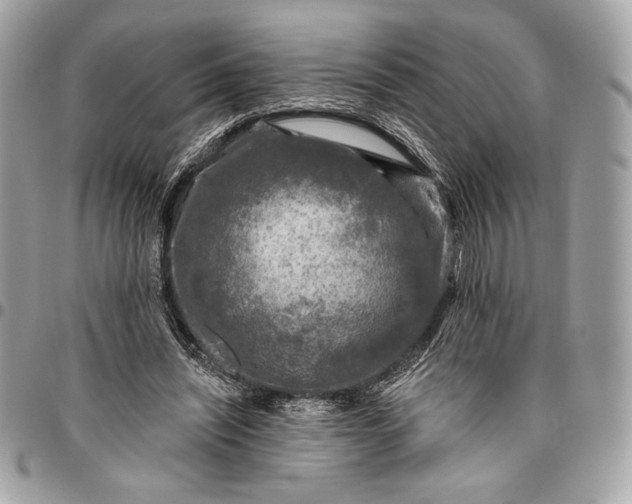 X0000096430444200802071729
