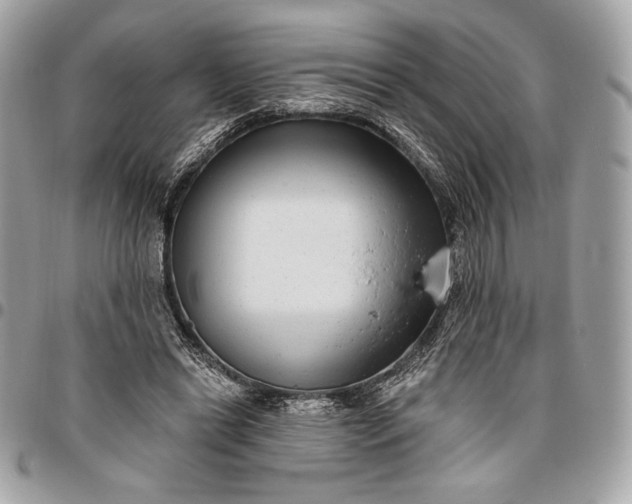 X0000096430446200802071729