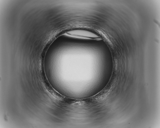 X0000096430447200802071729