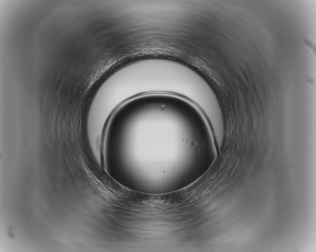 X0000096430448200802071729