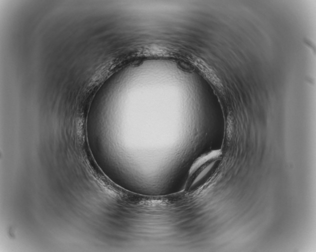 X0000096430449200802071729