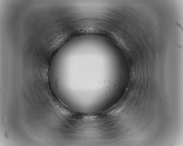 X0000096430450200802071729