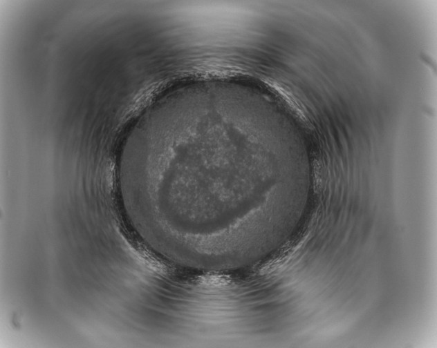 X0000096430451200802071729