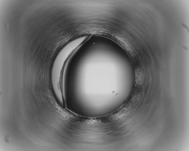 X0000096430453200802071729