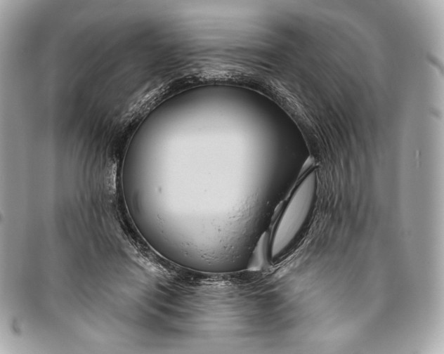 X0000096430454200802071729