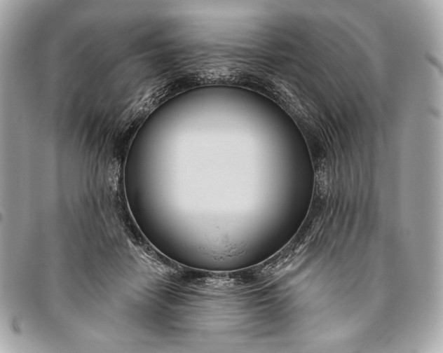 X0000096430458200802071729
