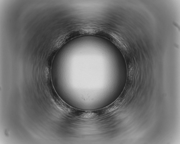 X0000096430459200802071729