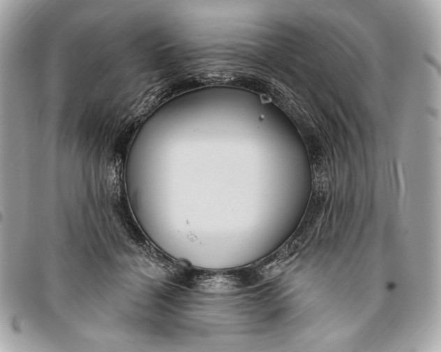 X0000096430460200802071729
