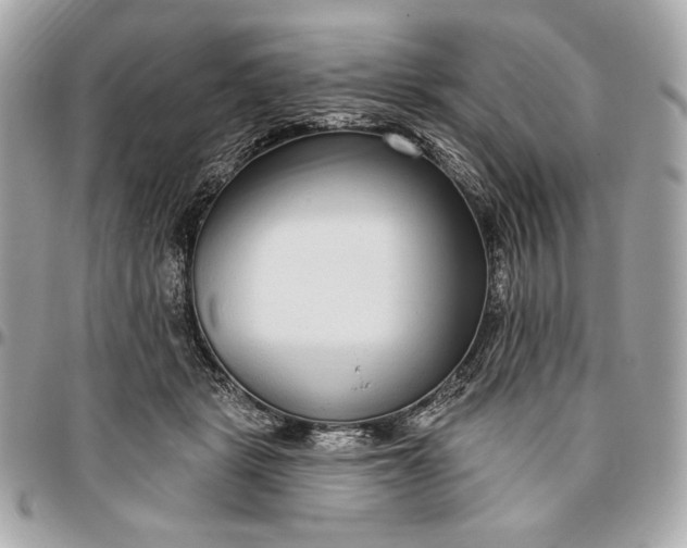 X0000096430461200802071729