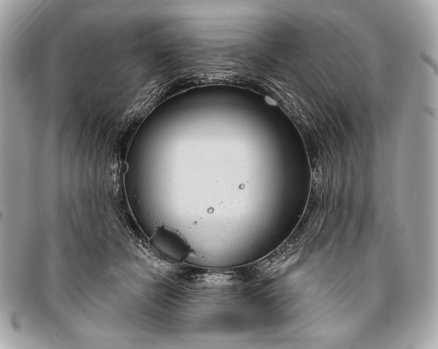 X0000096430462200802071729