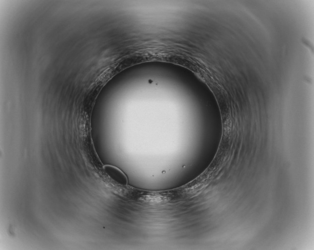 X0000096430464200802071729