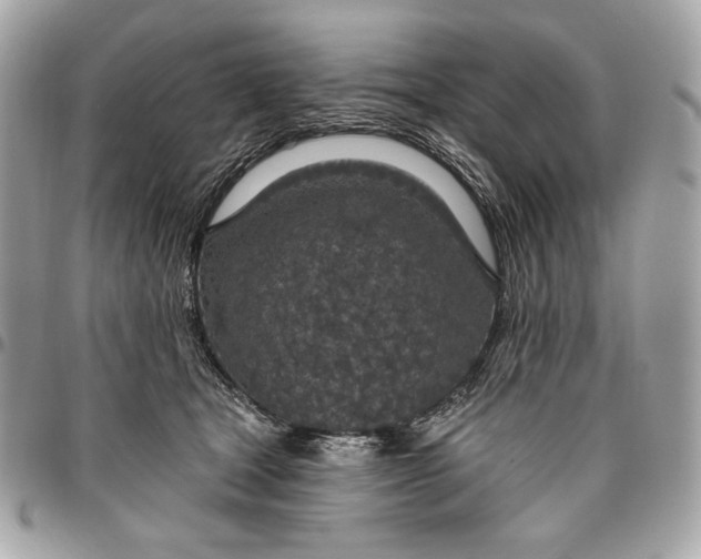X0000096430465200802071729