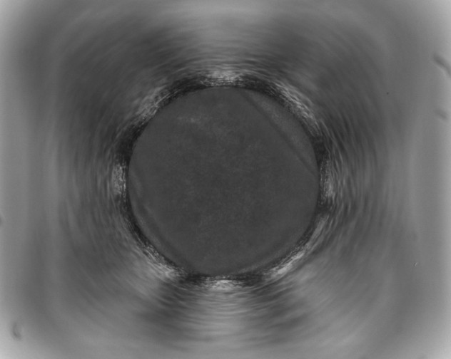 X0000096430467200802071729