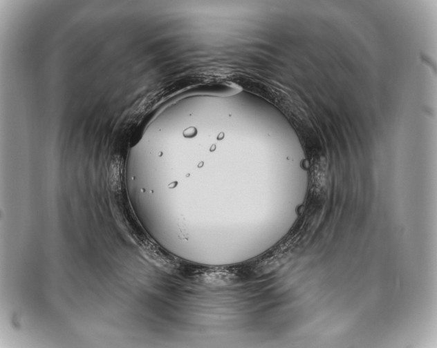 X0000096430468200802071729