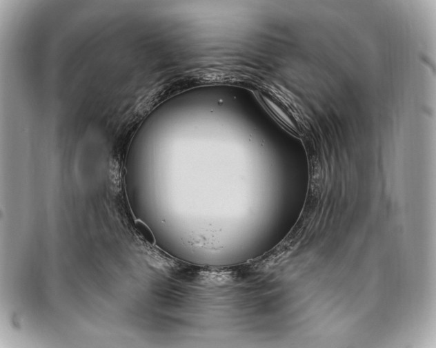 X0000096430469200802071730