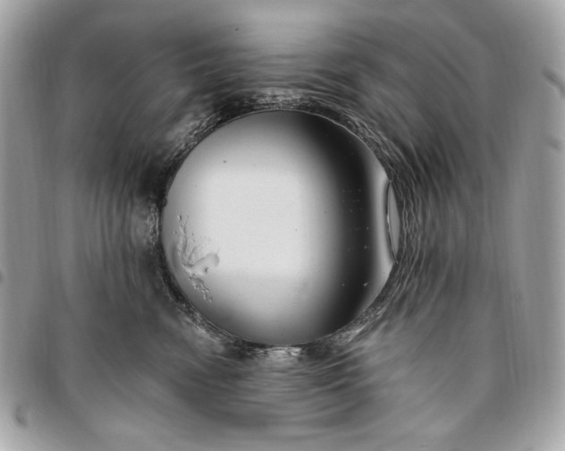 X0000096430474200802071730