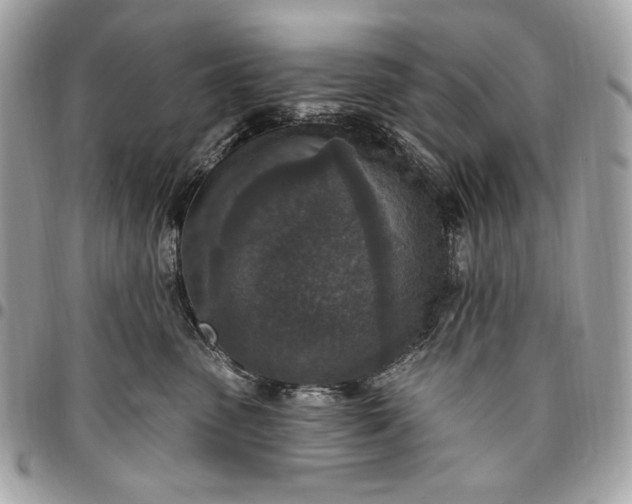 X0000096430475200802071730