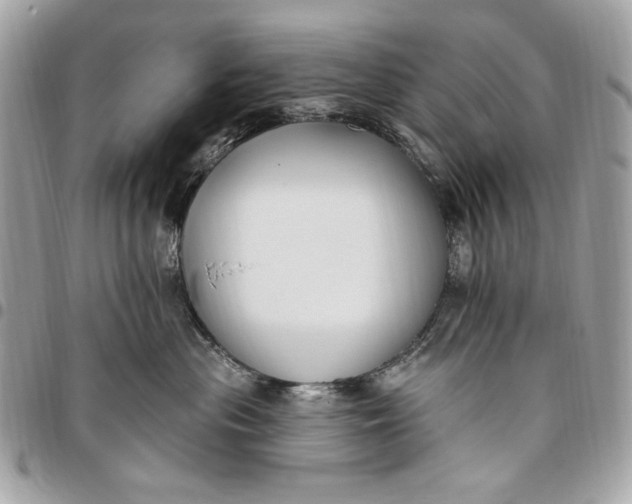 X0000096430477200802071730