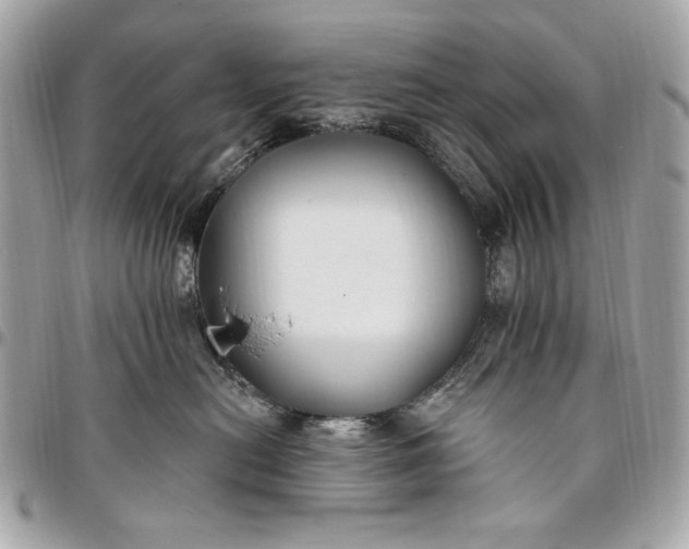 X0000096430478200802071730
