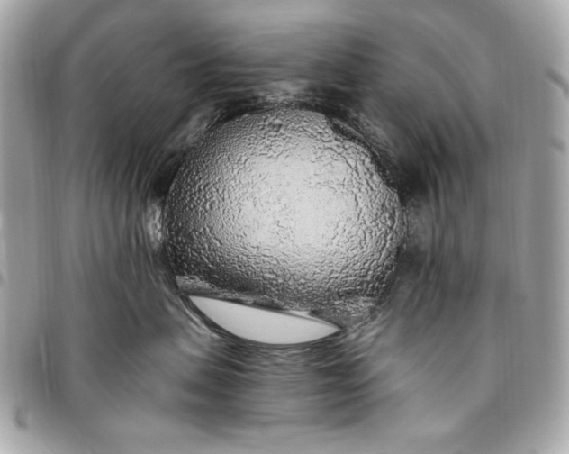 X0000096430479200802071730