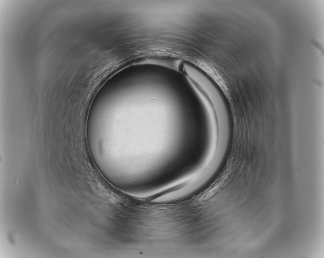 X0000096430481200802071729