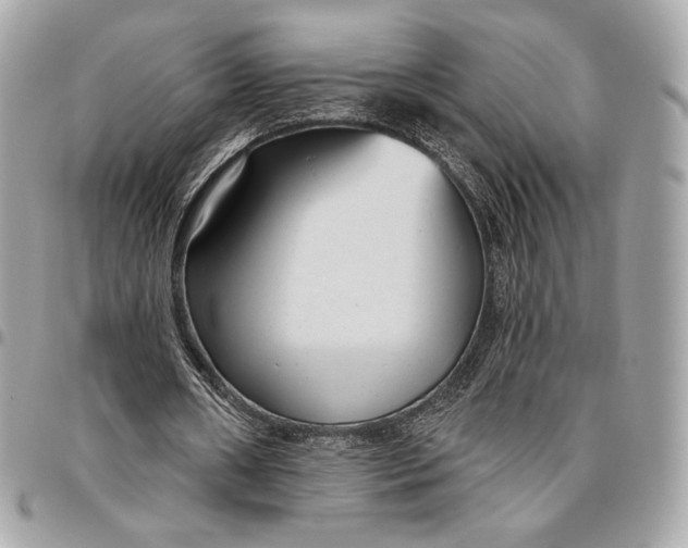 X0000096430482200802071729