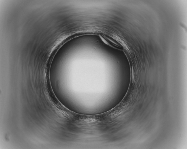 X0000096430483200802071729
