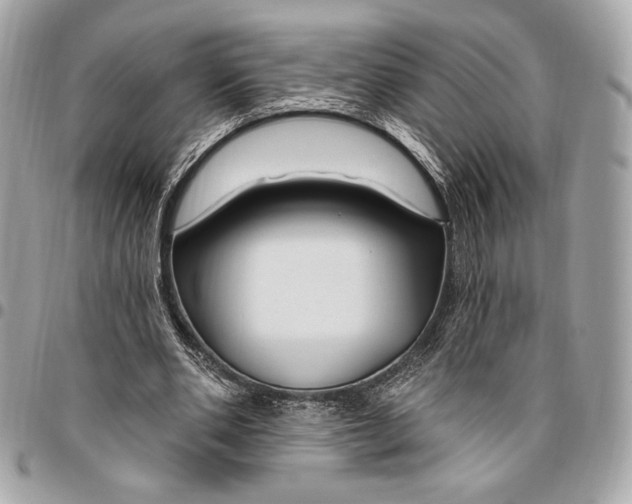 X0000096430486200802071729