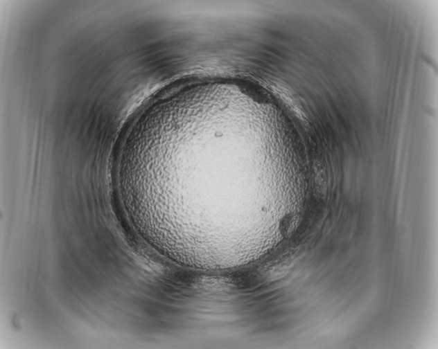 X0000096430487200802071729