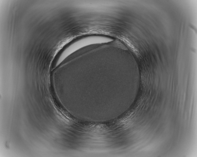 X0000096430488200802071729