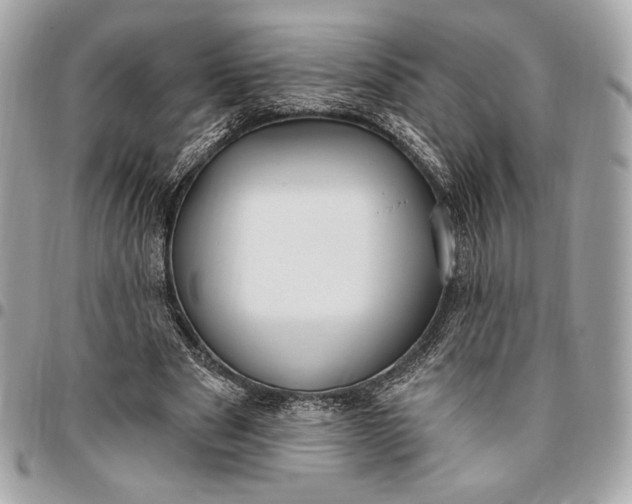 X0000096430489200802071729