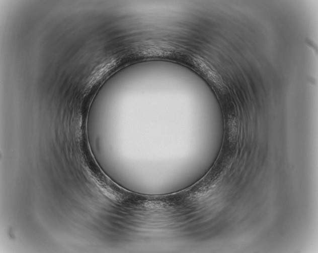 X0000096430490200802071729