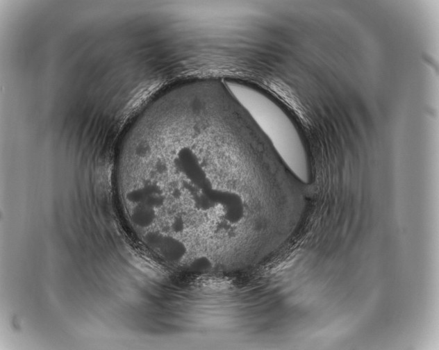 X0000096430491200802071729