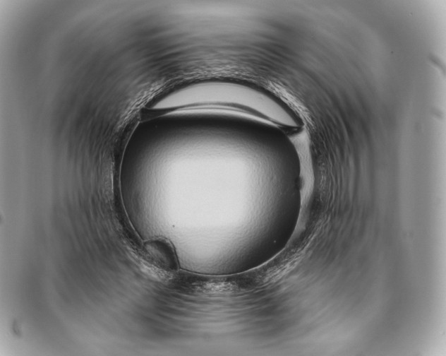 X0000096430493200802071729