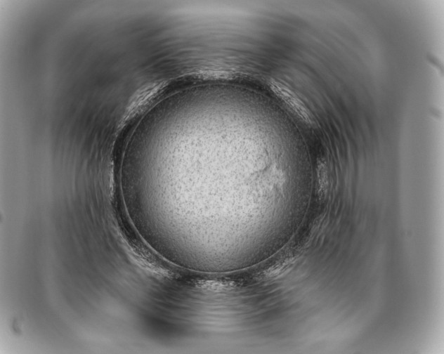 X0000096430494200802071729
