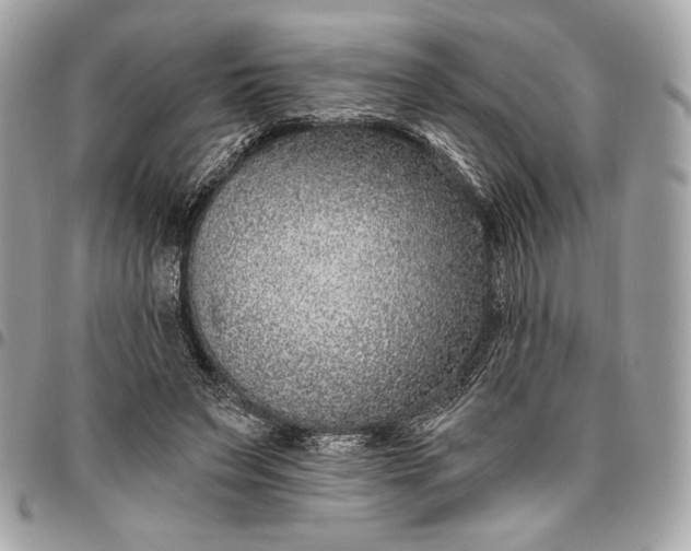 X0000096430495200802071729